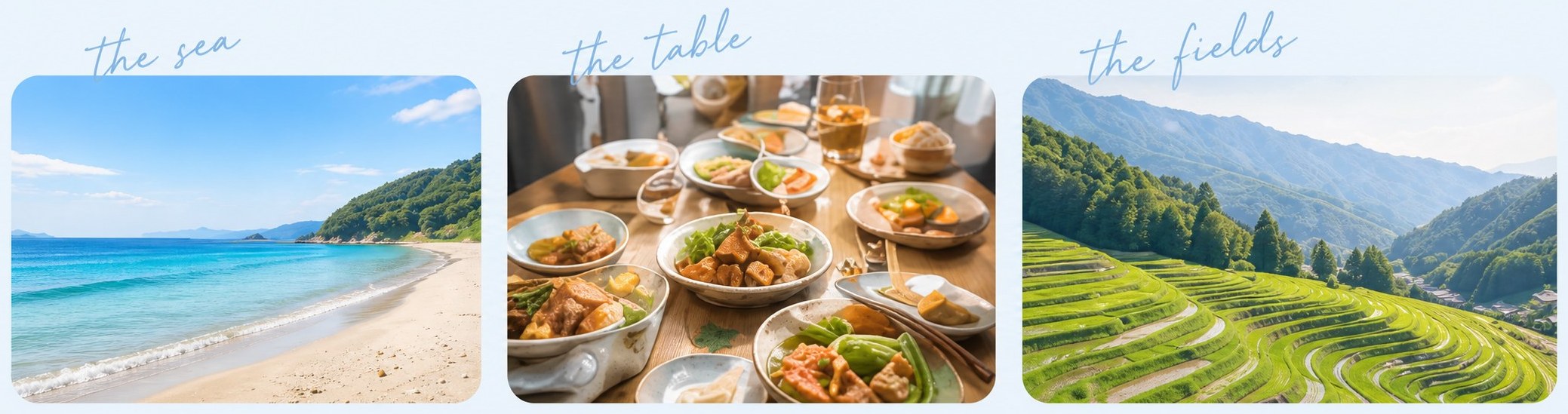 淡路島の暮らし。the sea（浜辺と海）、the table（島の食卓）、the fields（棚田の緑）